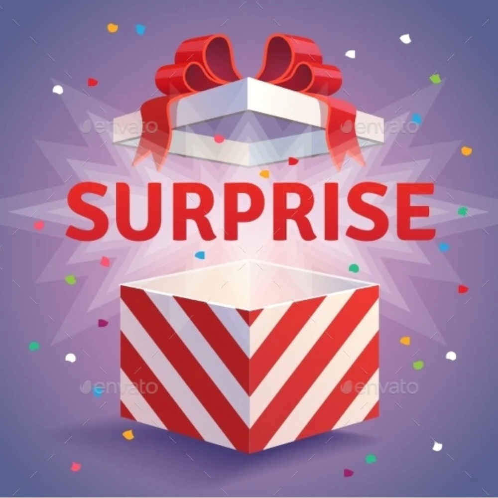 2 Surprise Tops for the Price of ONE!